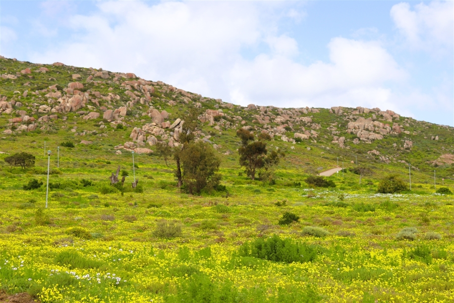 0 Bedroom Property for Sale in St Helena Views Western Cape